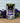 Himalayan Brew Kangra Green Tea With Pure Lavender