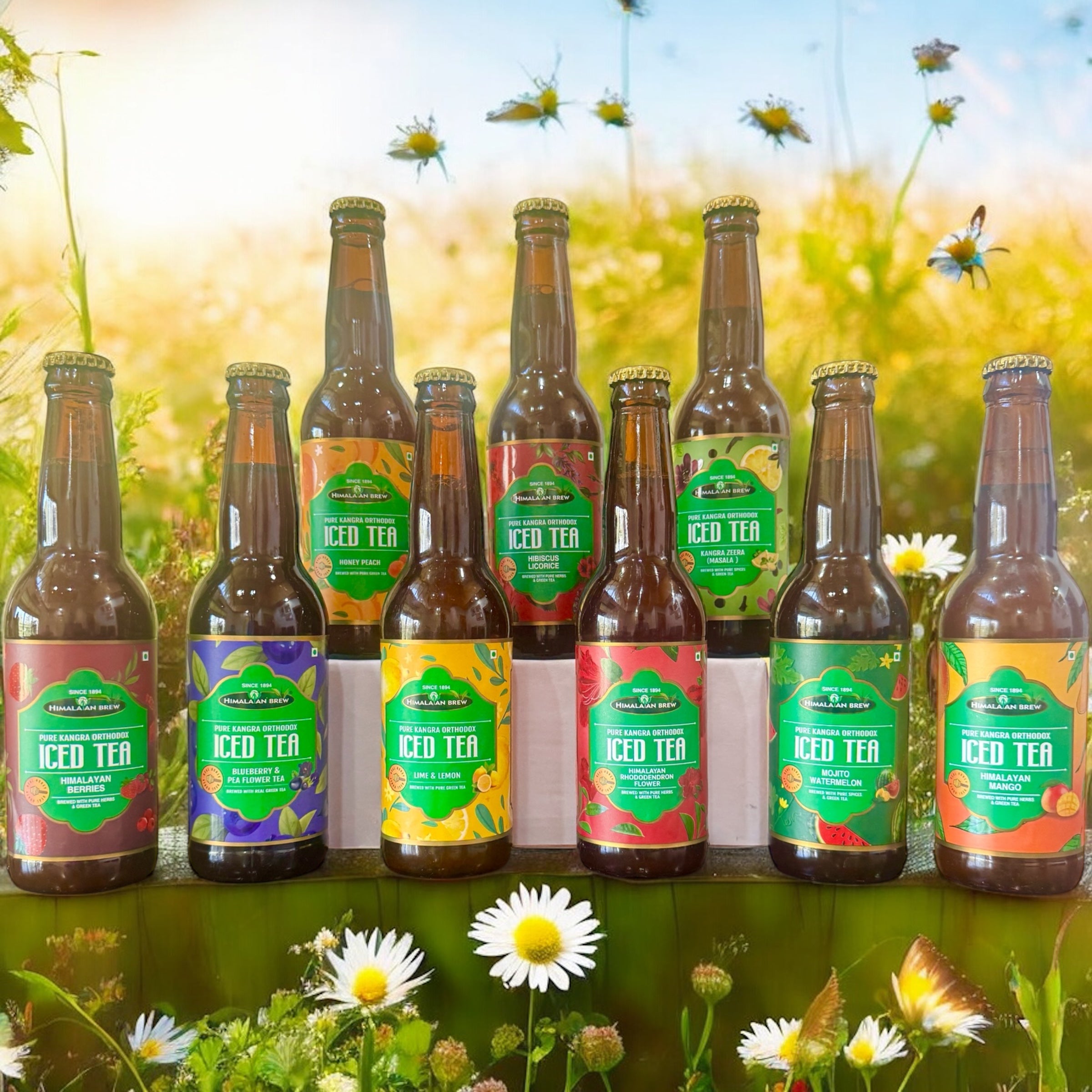 Himalayan Brew Ice Tea Assorted Ready to Drink Pack of 12 Bottles with different Flavours